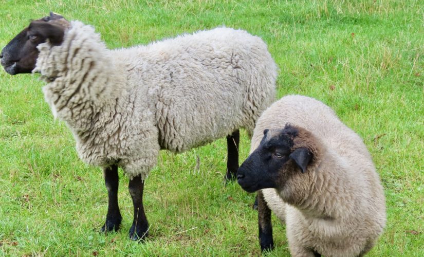 Wiederfinden heißt mehr als Wieder da sein